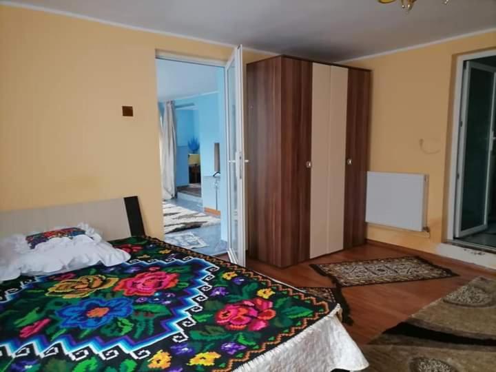 Pensiunea Brezu Sighetu Marmaţiei Exterior foto