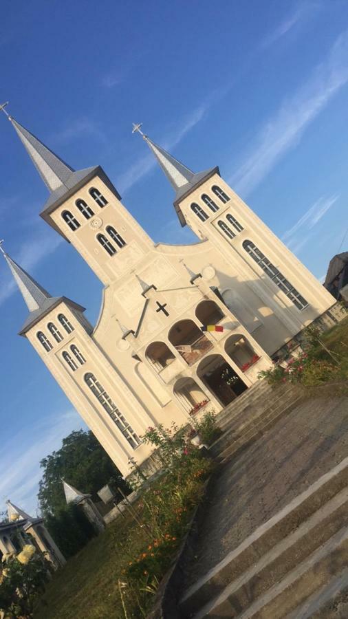 Pensiunea Brezu Sighetu Marmaţiei Exterior foto
